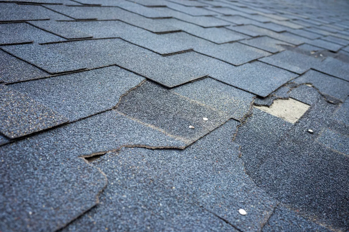 Damaged and curled asphalt shingles needing repair